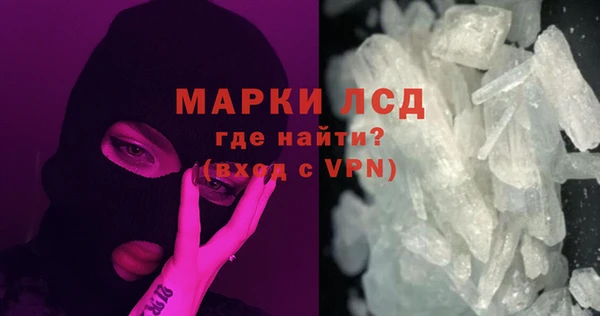 стаф Алексин