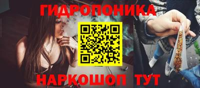 скорость Будённовск