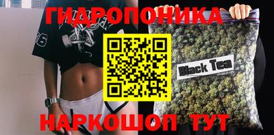 индика Бузулук