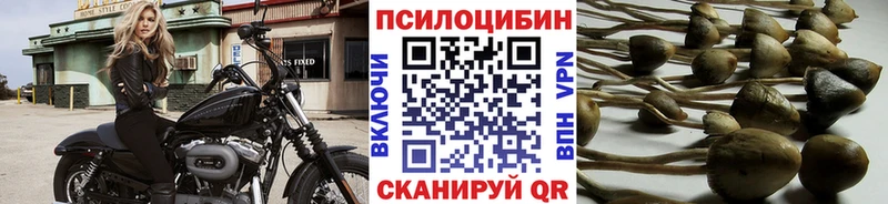 Галлюциногенные грибы Cubensis  blacksprut   Ленинск-Кузнецкий 