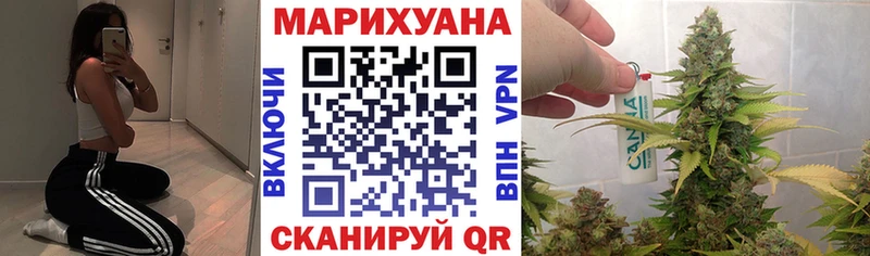 Бошки Шишки гибрид  Ленинск-Кузнецкий 