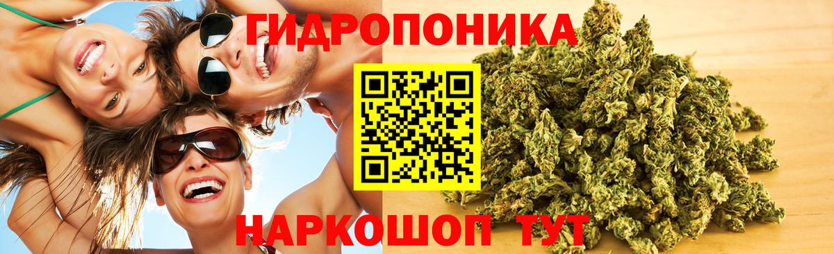 Бошки марихуана конопля Ленинск-Кузнецкий